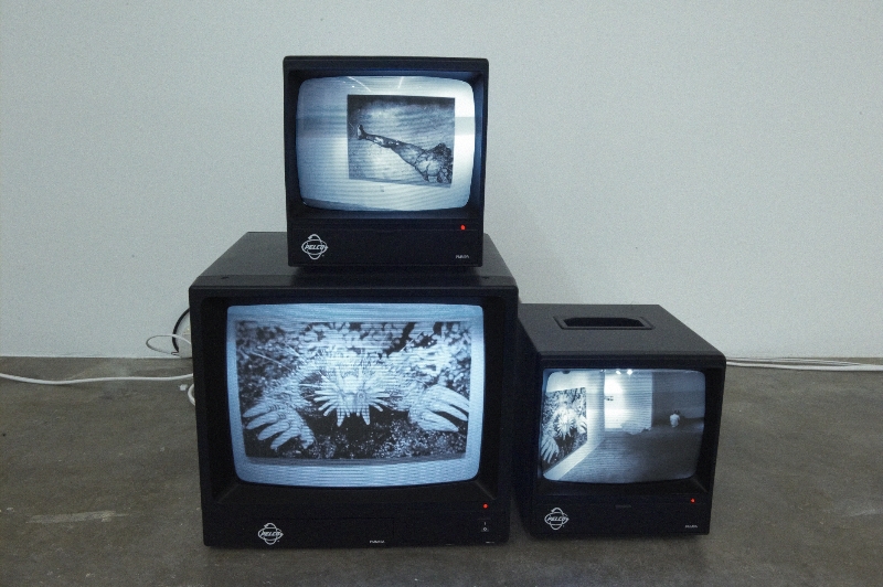 Oliver Lutz, The Mediated Subject (Installation View)